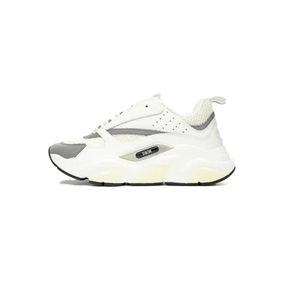 Dior B22 White Silver