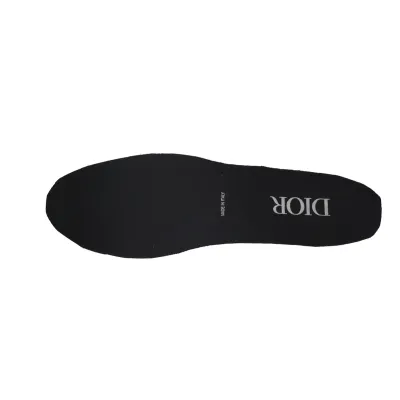 Dior B22 Sneakers Black Laser
