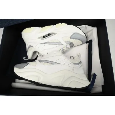 Dior B22 White Silver