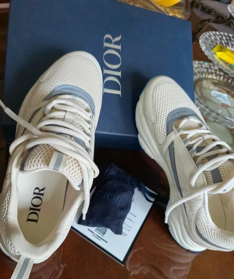 Dior B22 White Silver