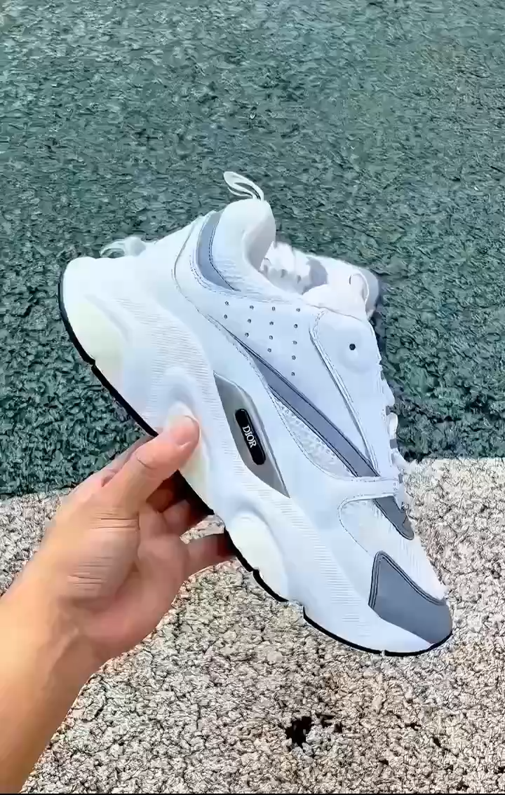 Dior B22 White Silver