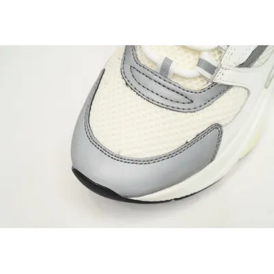 Dior B22 White Silver