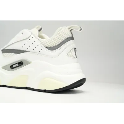 Dior B22 White Silver