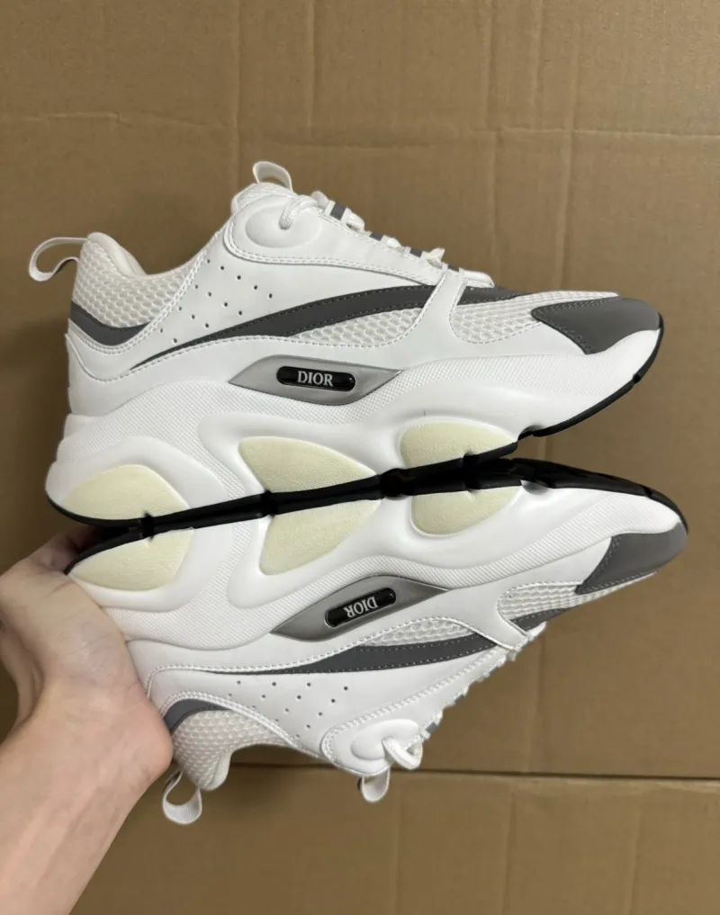Dior B22 White Silver