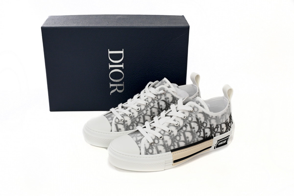 Dior B23 Low Top Logo Oblique