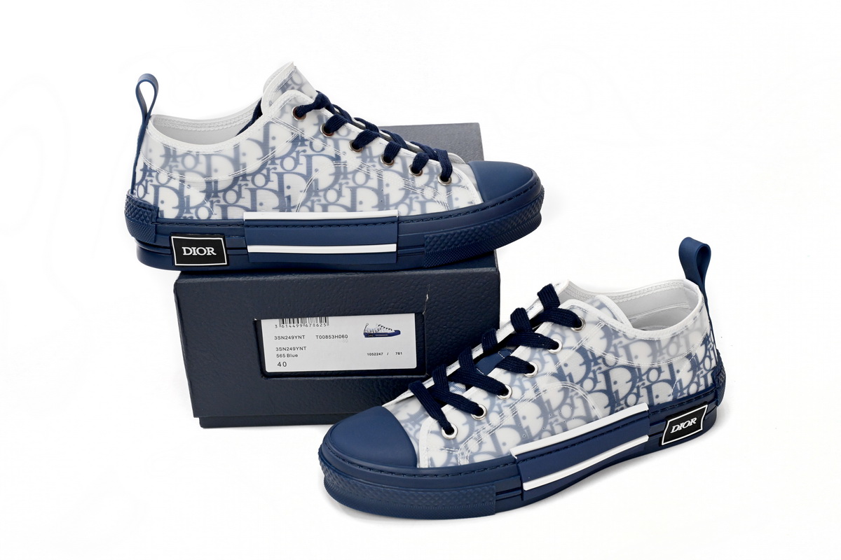 Dior B23 Low Top Blue Oblique