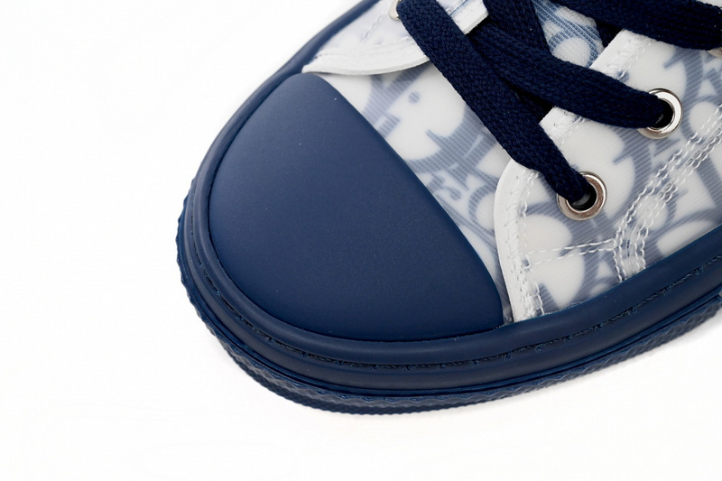 Dior B23 Low Top Blue Oblique