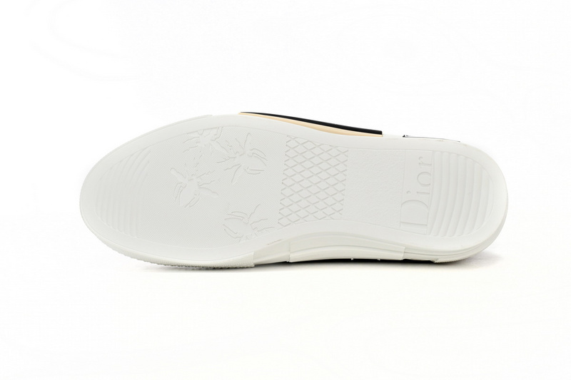 Dior B23 Low Top Logo Oblique