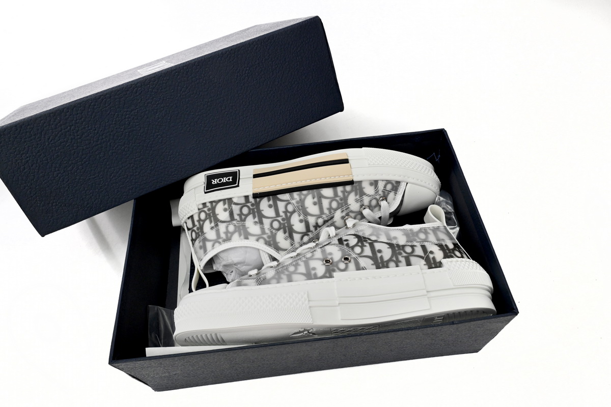 Dior B23 Low Top Logo Oblique