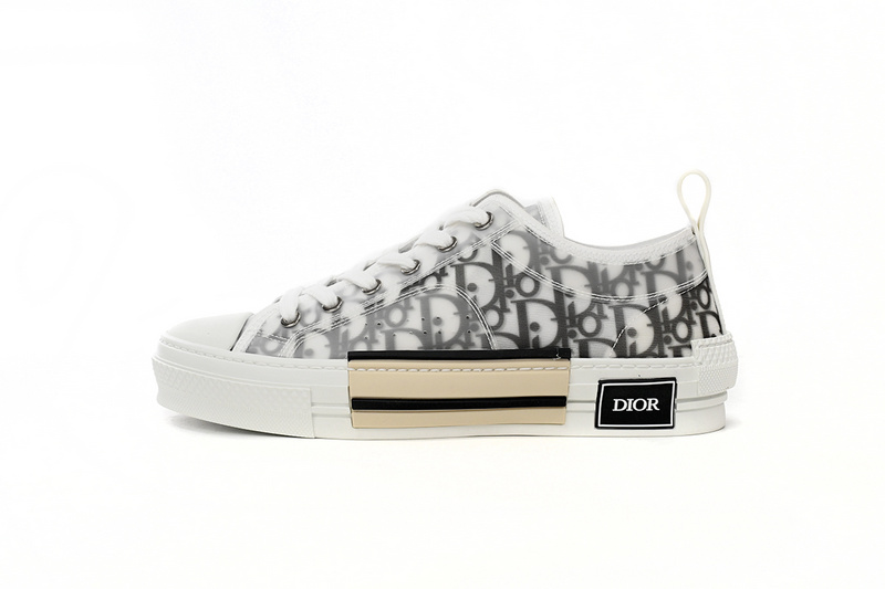 Dior B23 Low Top Logo Oblique