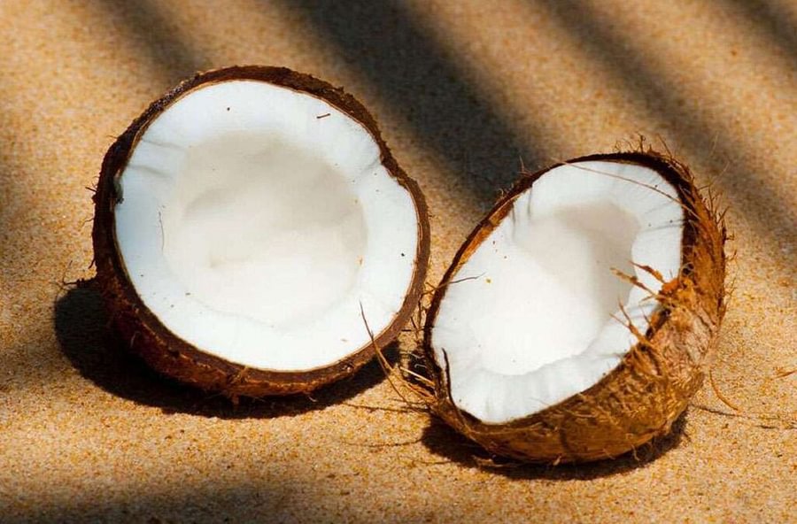 What Is Coconut Shell-based Activated Carbon?