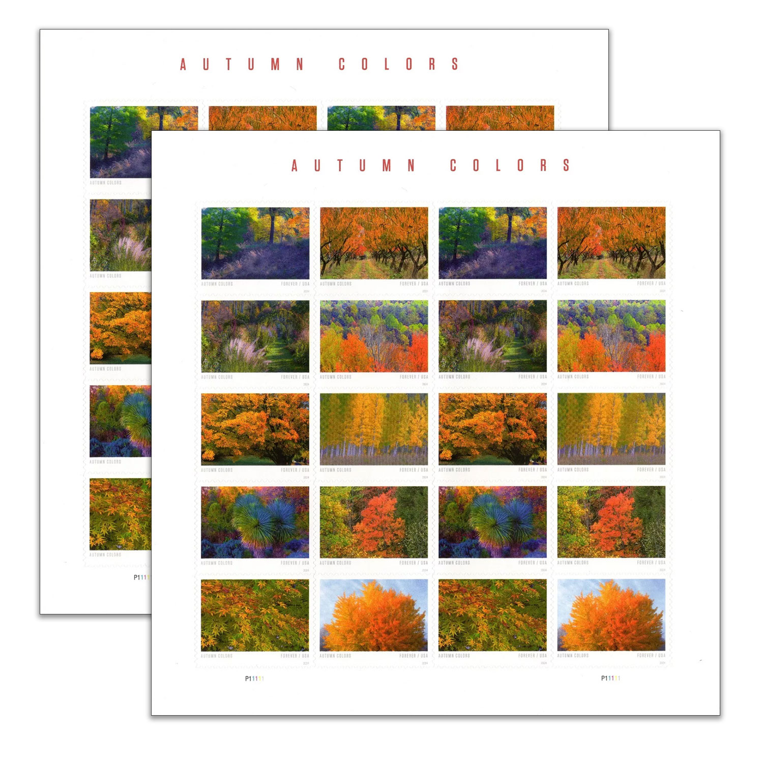 Autumn Colors - USPOSTSTORE