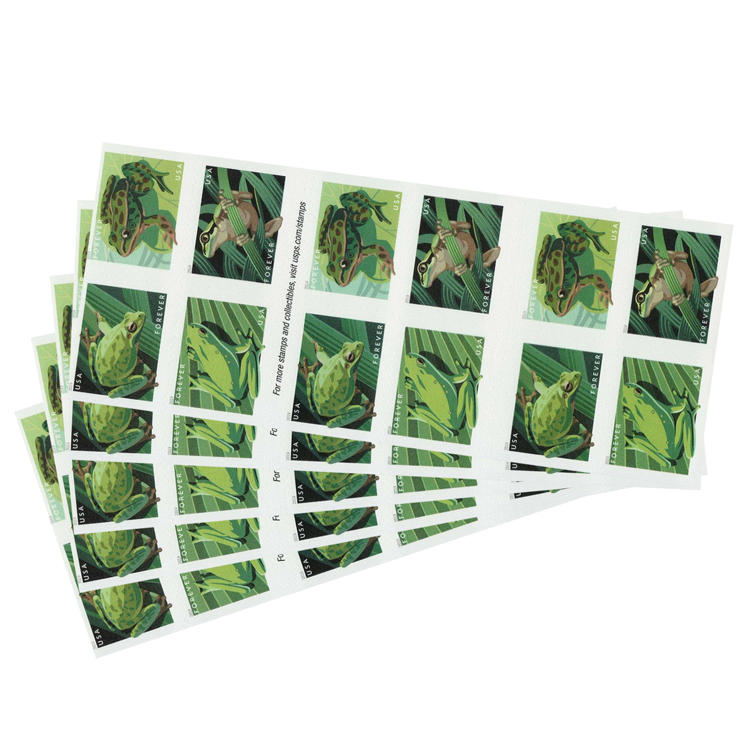 FROGS