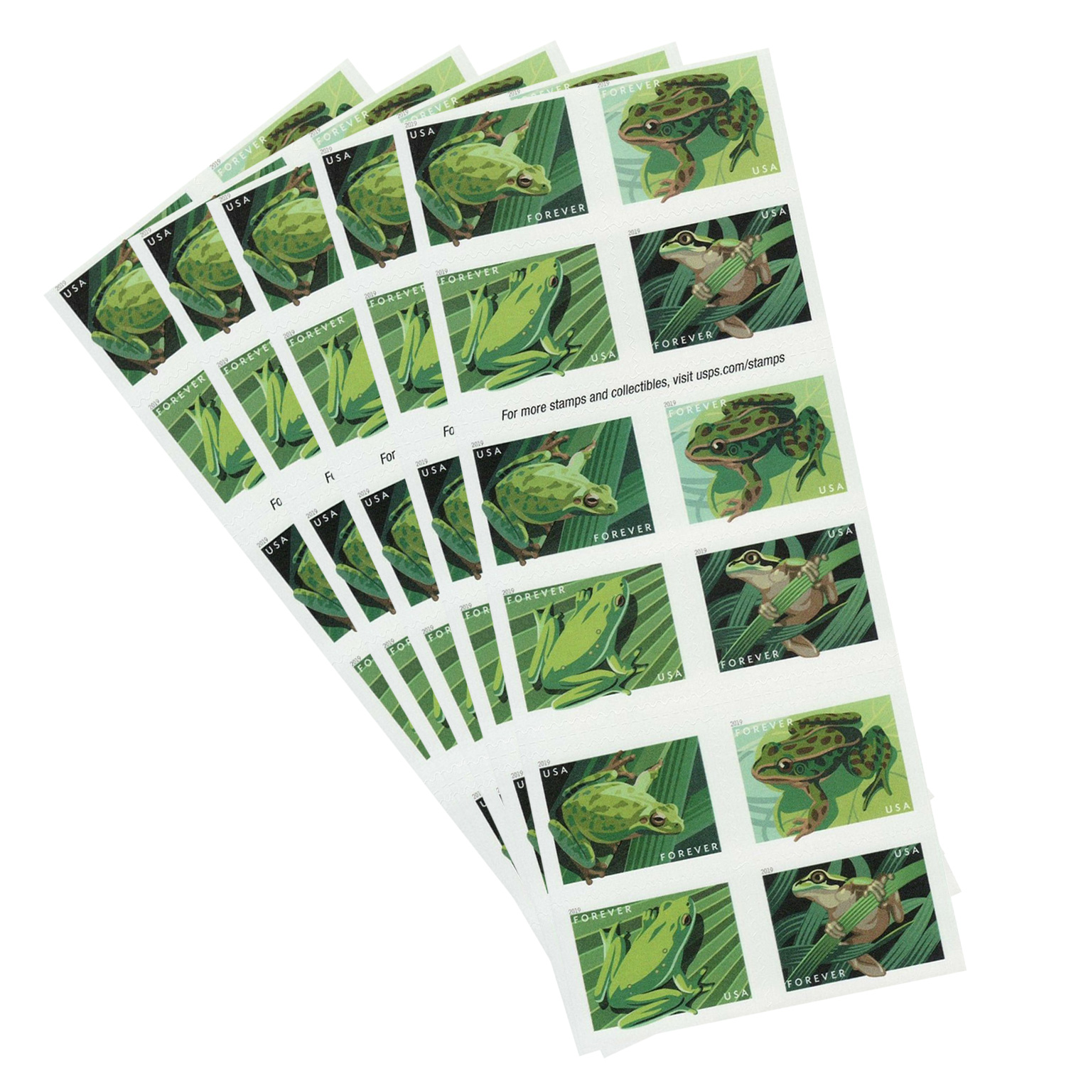 FROGS