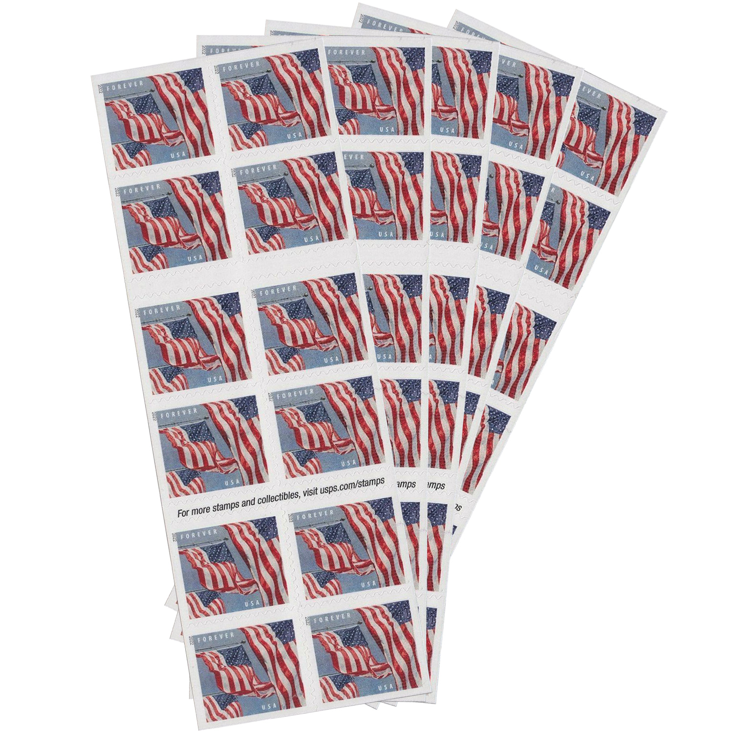 U.S. Flag 2022