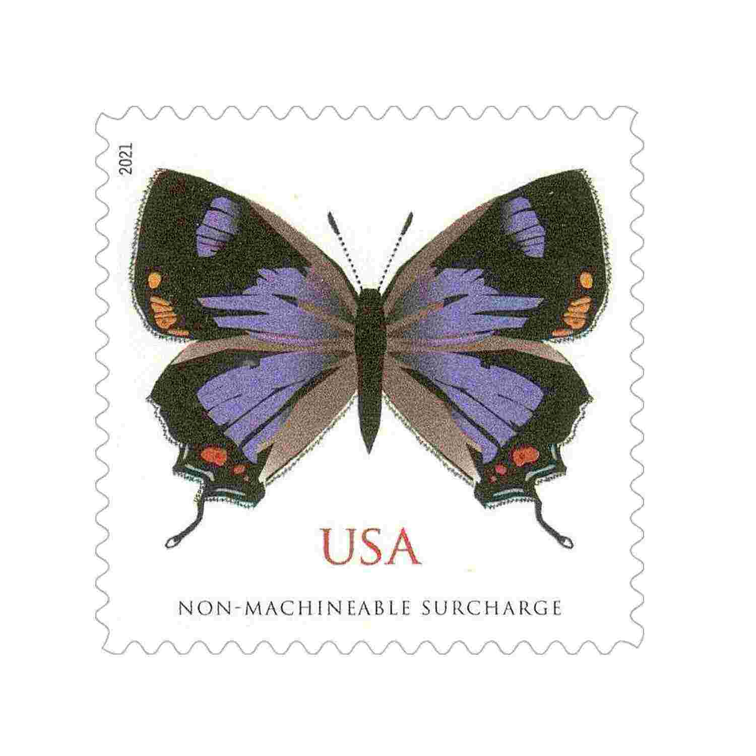 Colorado Hairstreak 2021