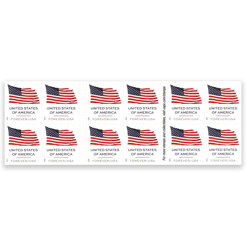 U.S. Flags 2025