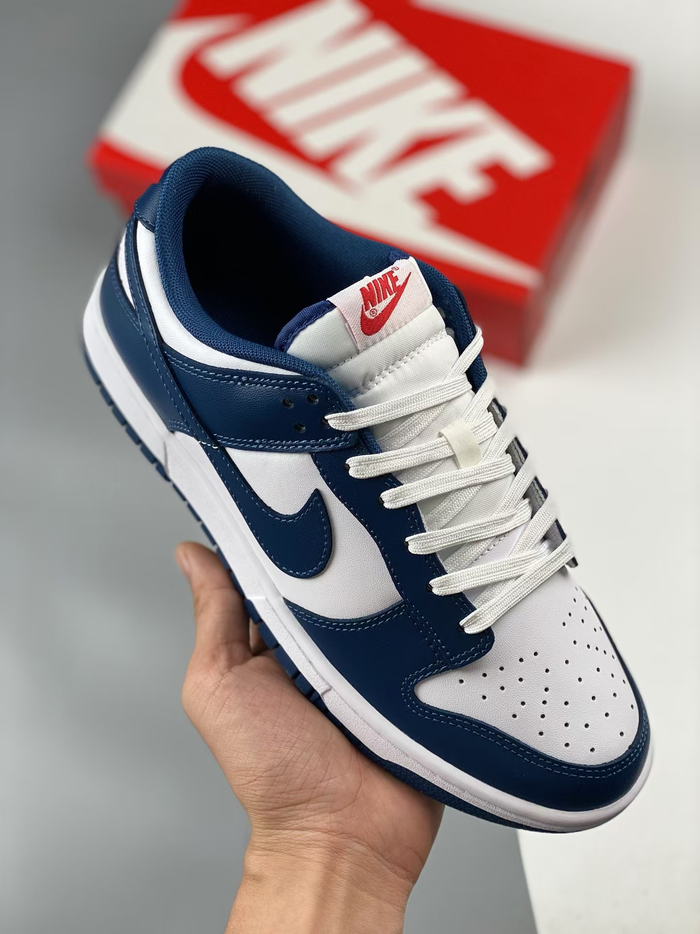 Nike dunk low sneakers