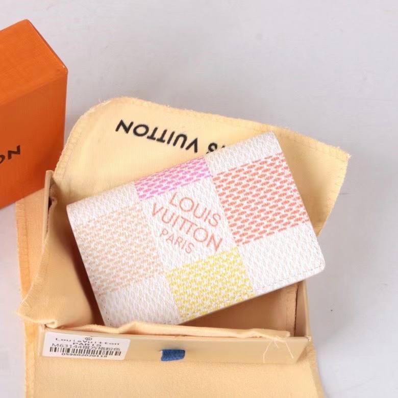 LV Damier Graphite Epi wallet Card holder