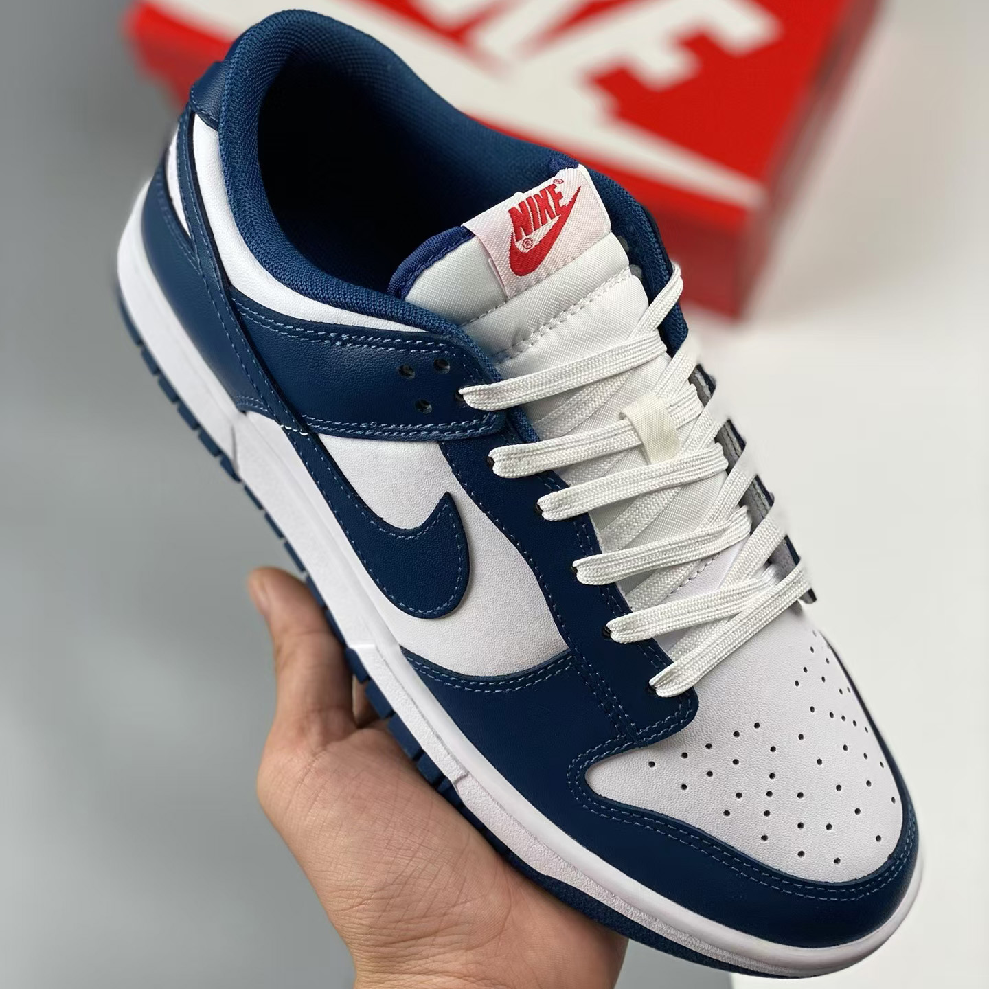 Nike dunk low sneakers