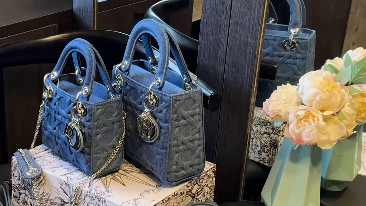 Dior Denim Bag