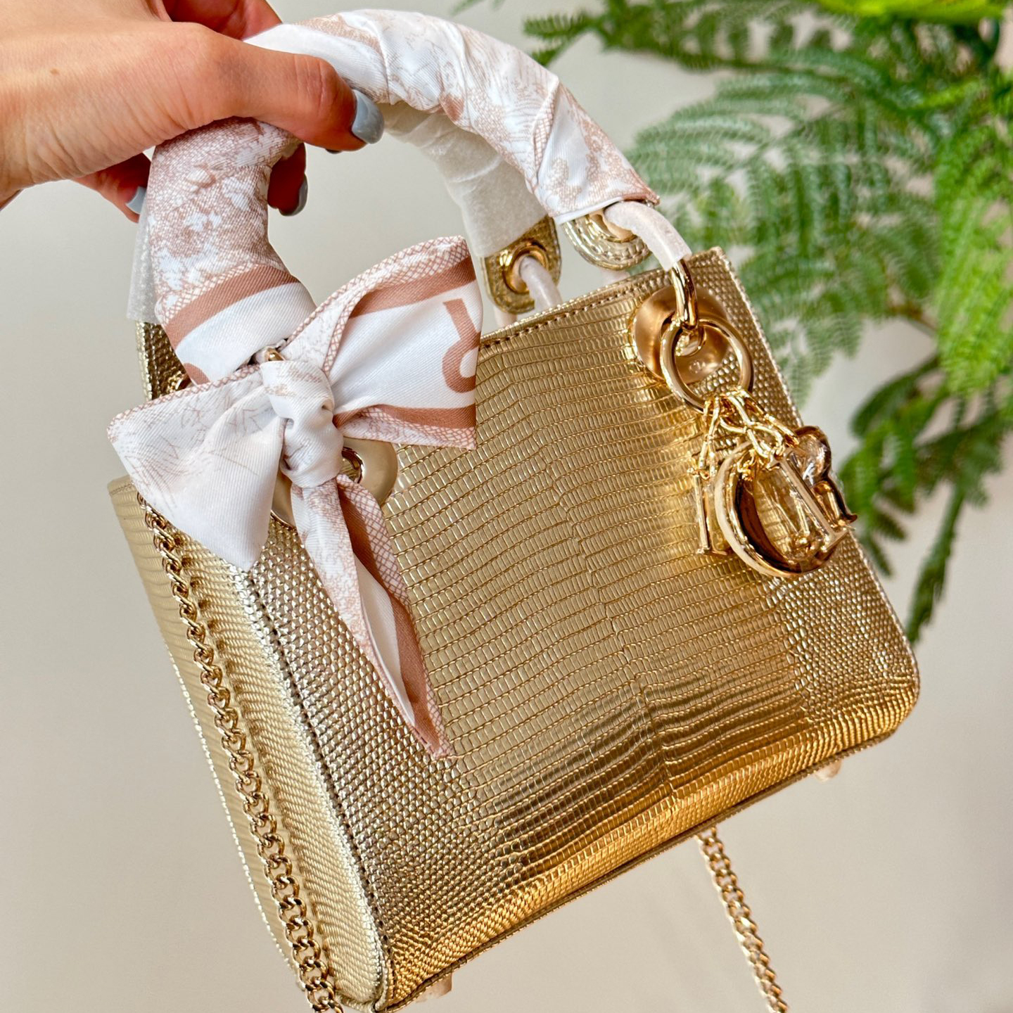 Dior D-lite lady handbag