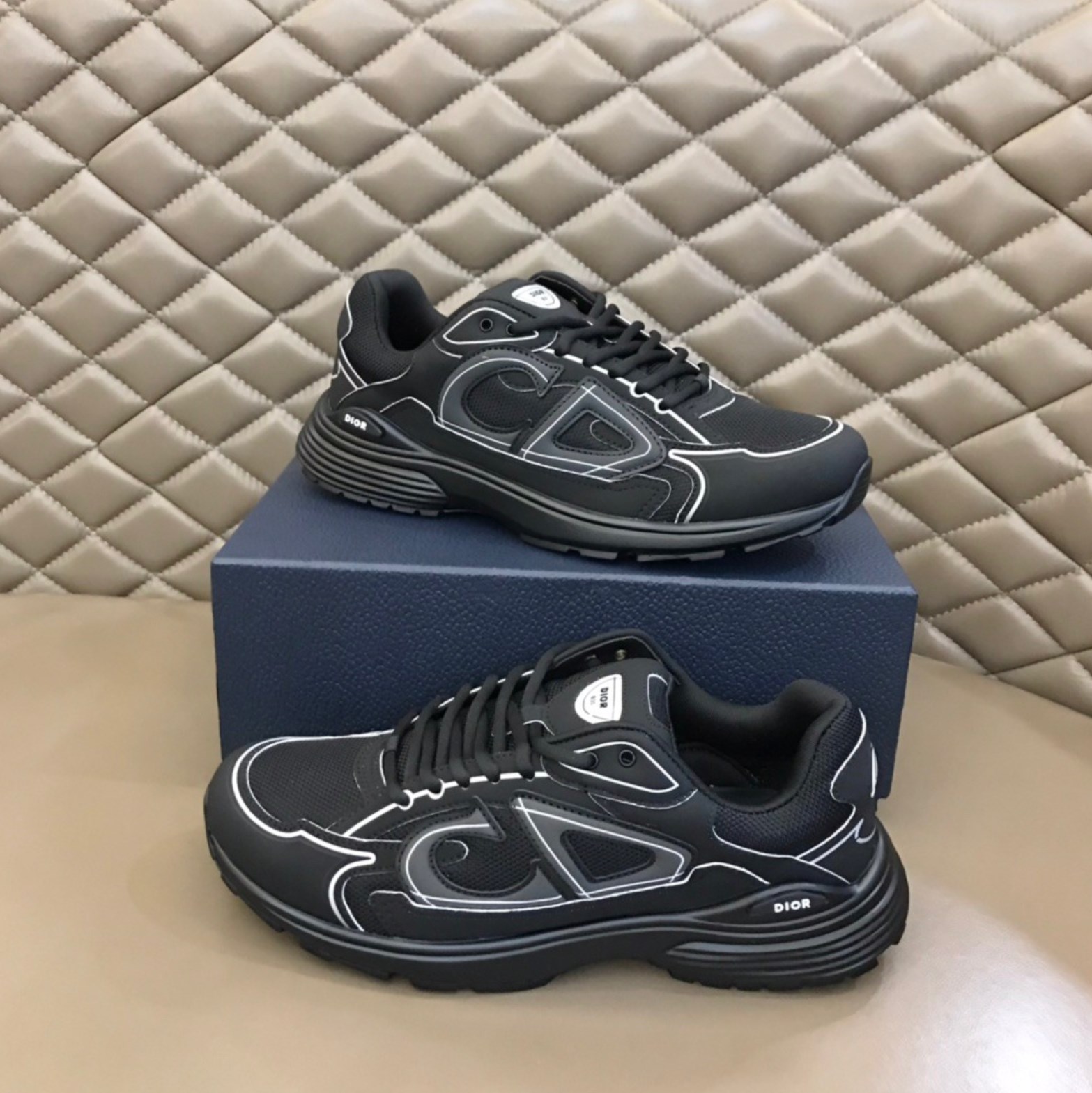 Dior B30 sports shoes