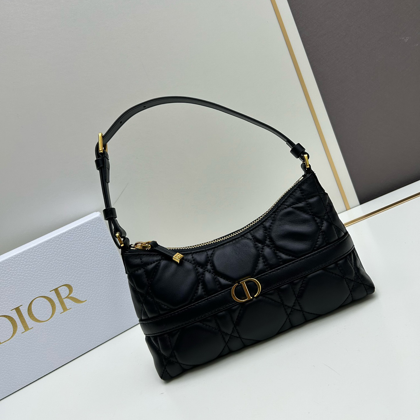 Dior oblique shoulder dumpling bag