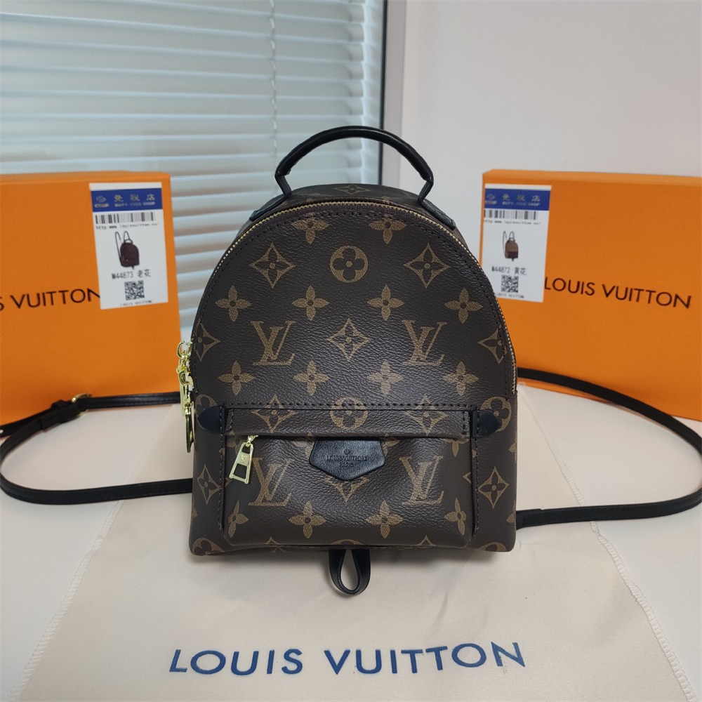 LV Palm Springs Backpack