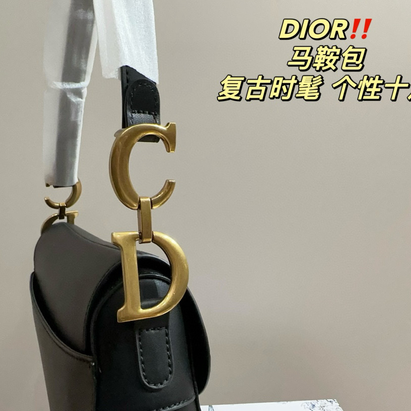 DIOR saddle bag