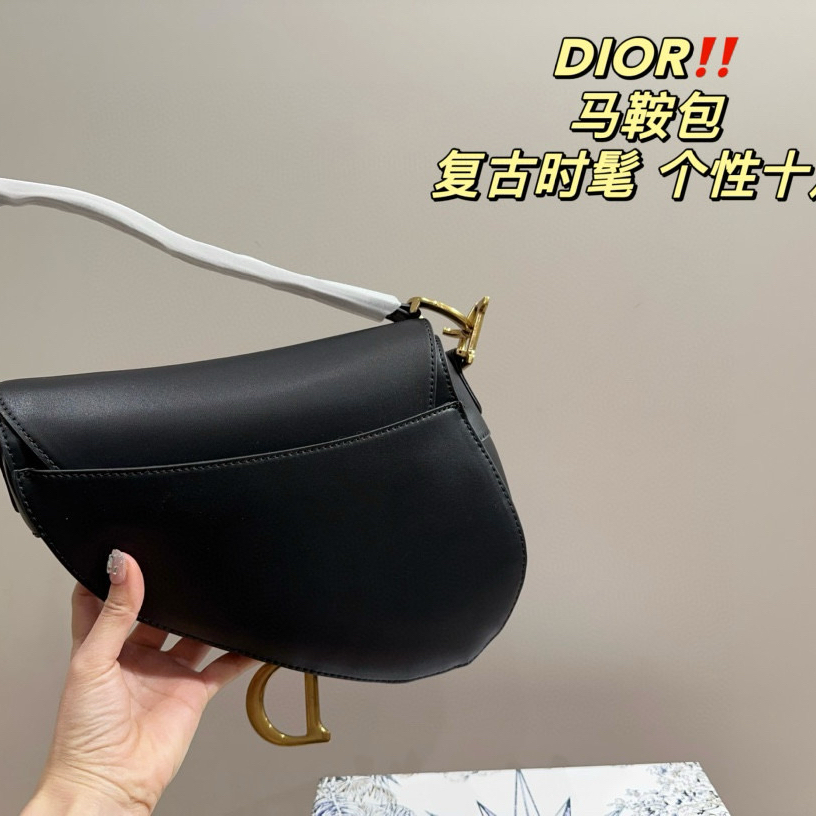 DIOR saddle bag