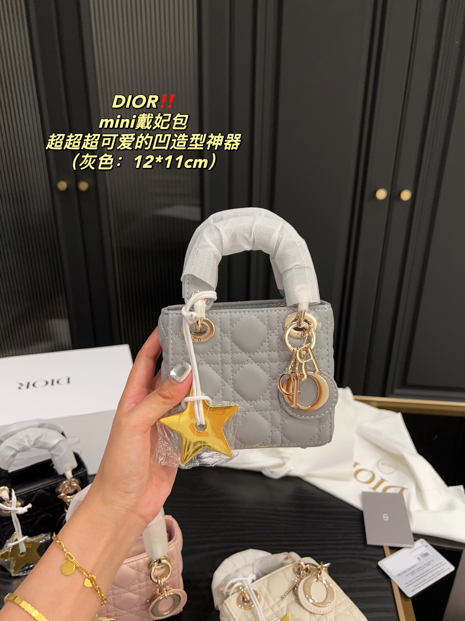 Dior mini Diana bag