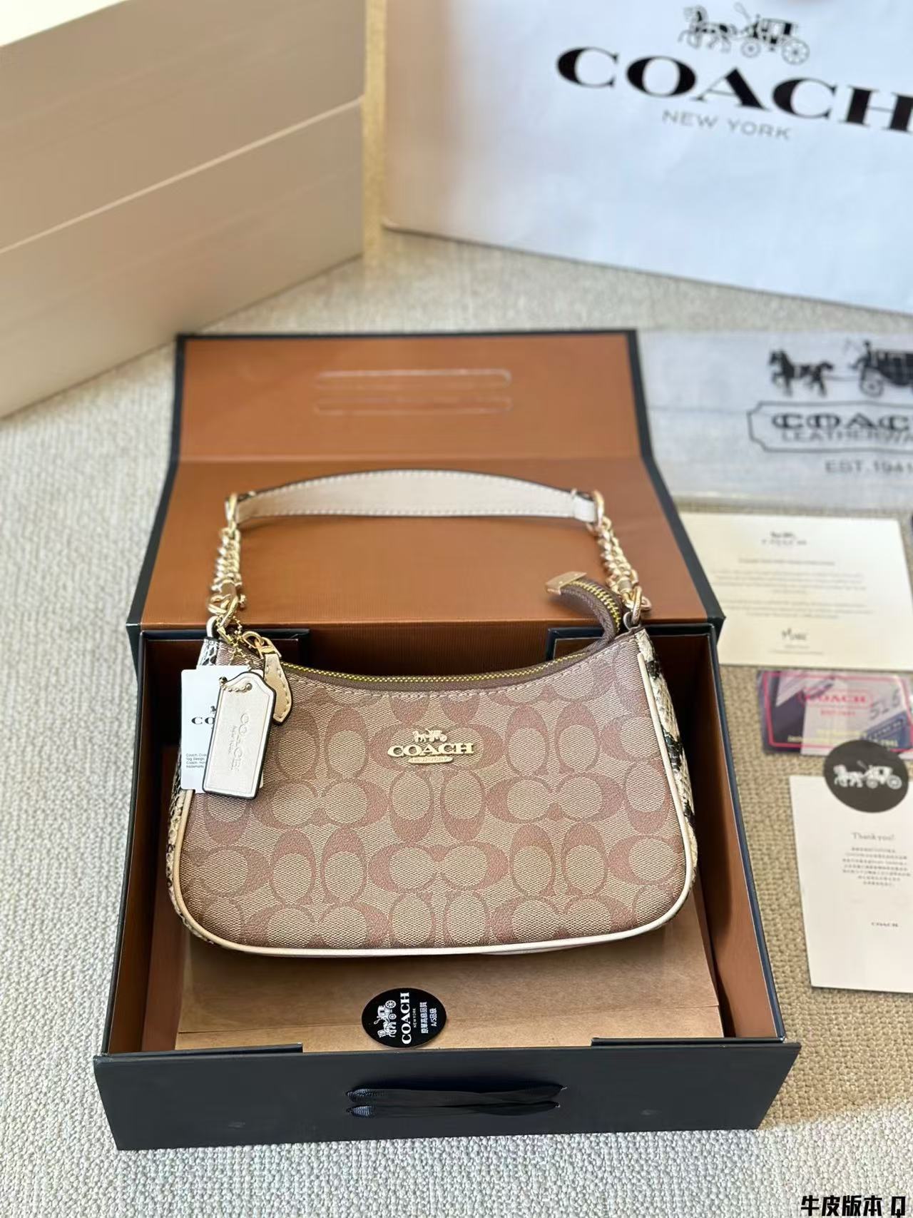 Coach Teri Underarm Bag