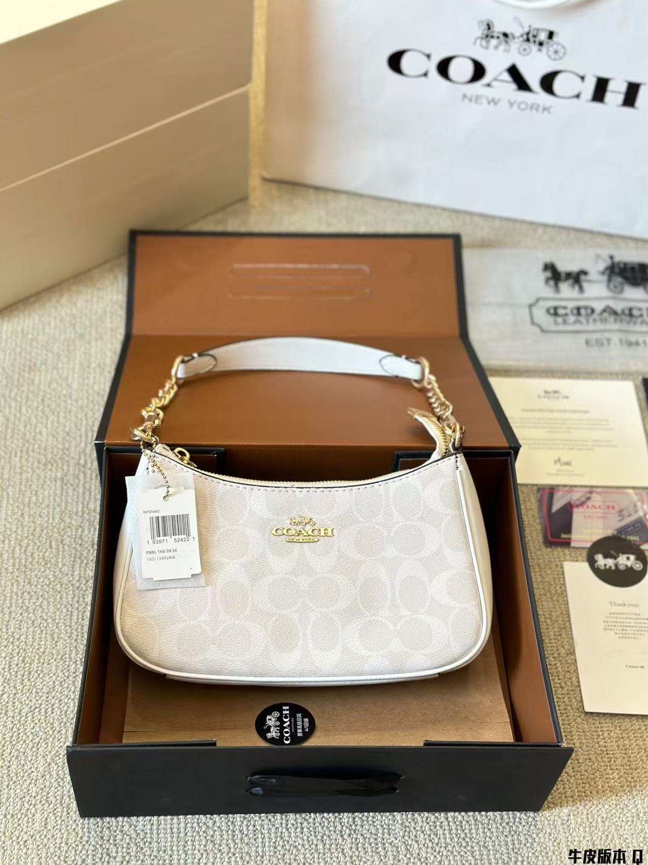 Coach Teri Underarm Bag