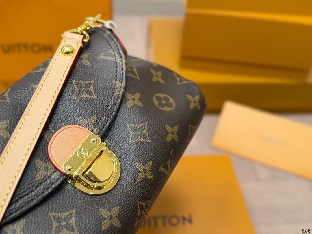 LV Speedy handbag