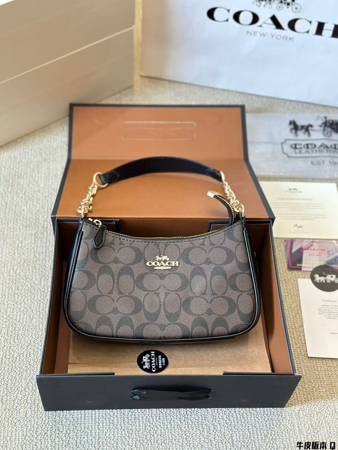 Coach Teri Underarm Bag