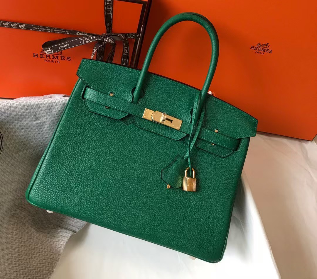 Hermes brikin kelly handbag