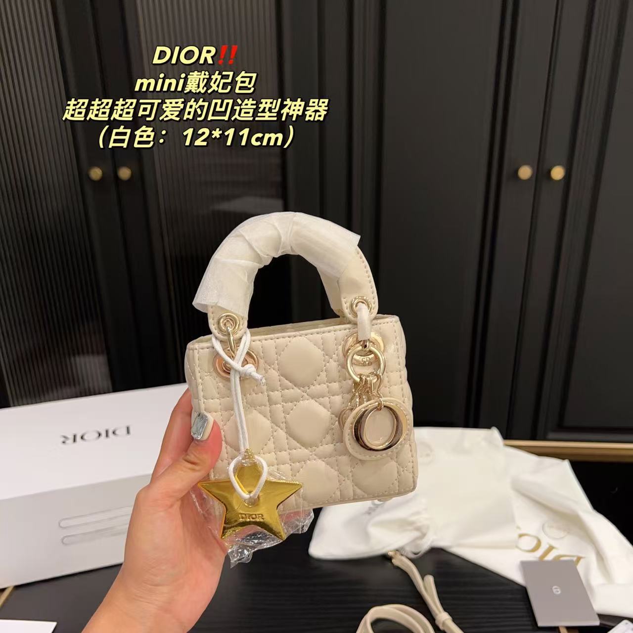 Dior mini Diana bag