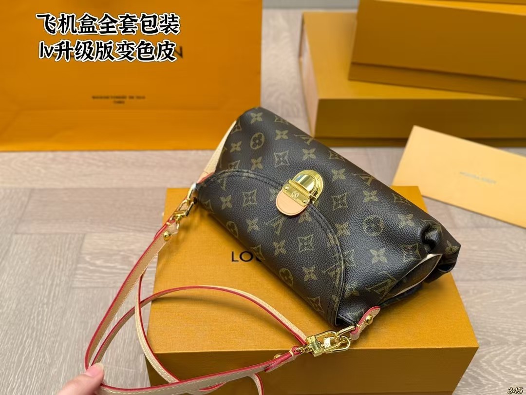 LV Speedy handbag