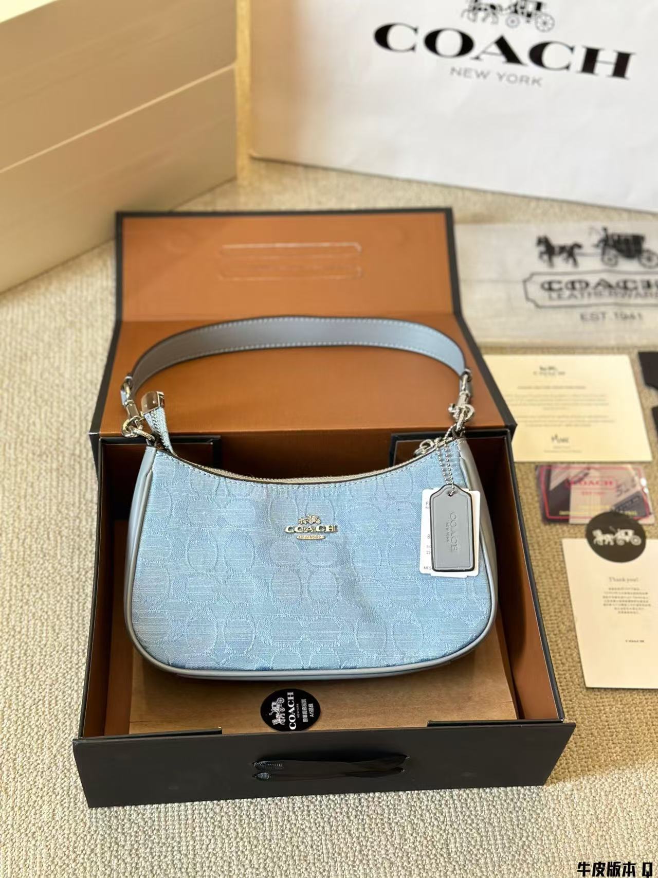 Coach Teri Underarm Bag