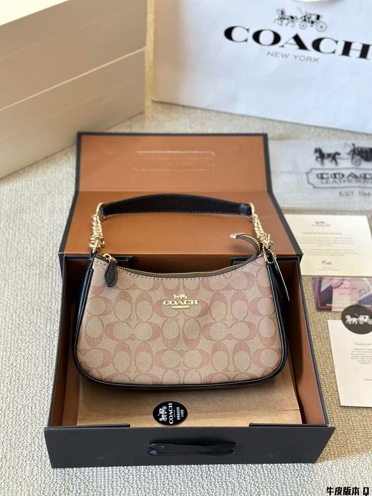 Coach Teri Underarm Bag