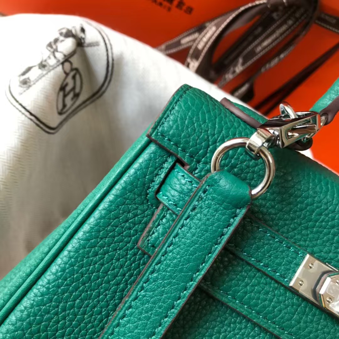 Hermes brikin kelly handbag