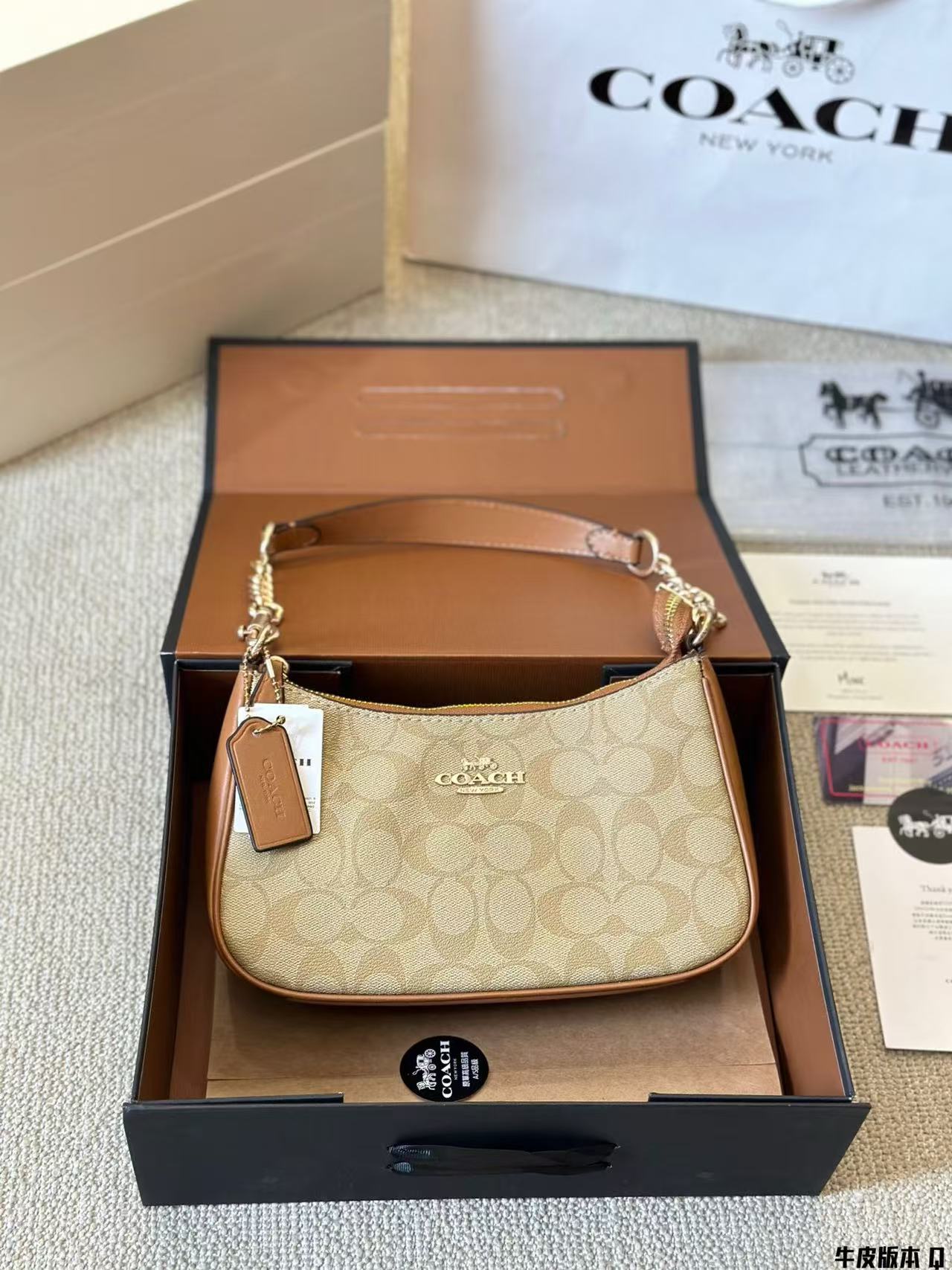 Coach Teri Underarm Bag