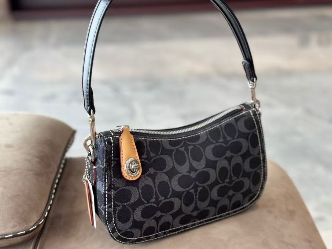Coach Swinger20 Underarm Bag