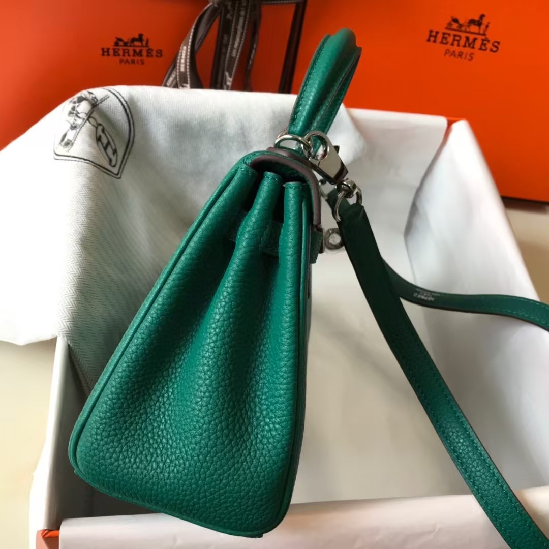 Hermes brikin kelly handbag