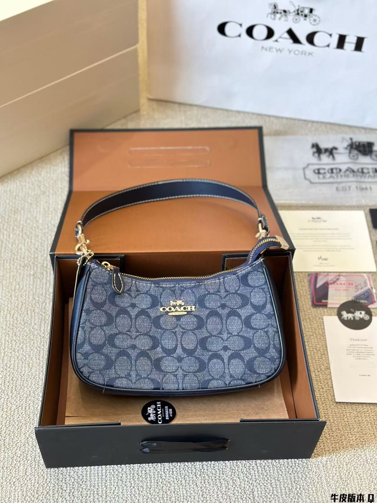 Coach Teri Underarm Bag