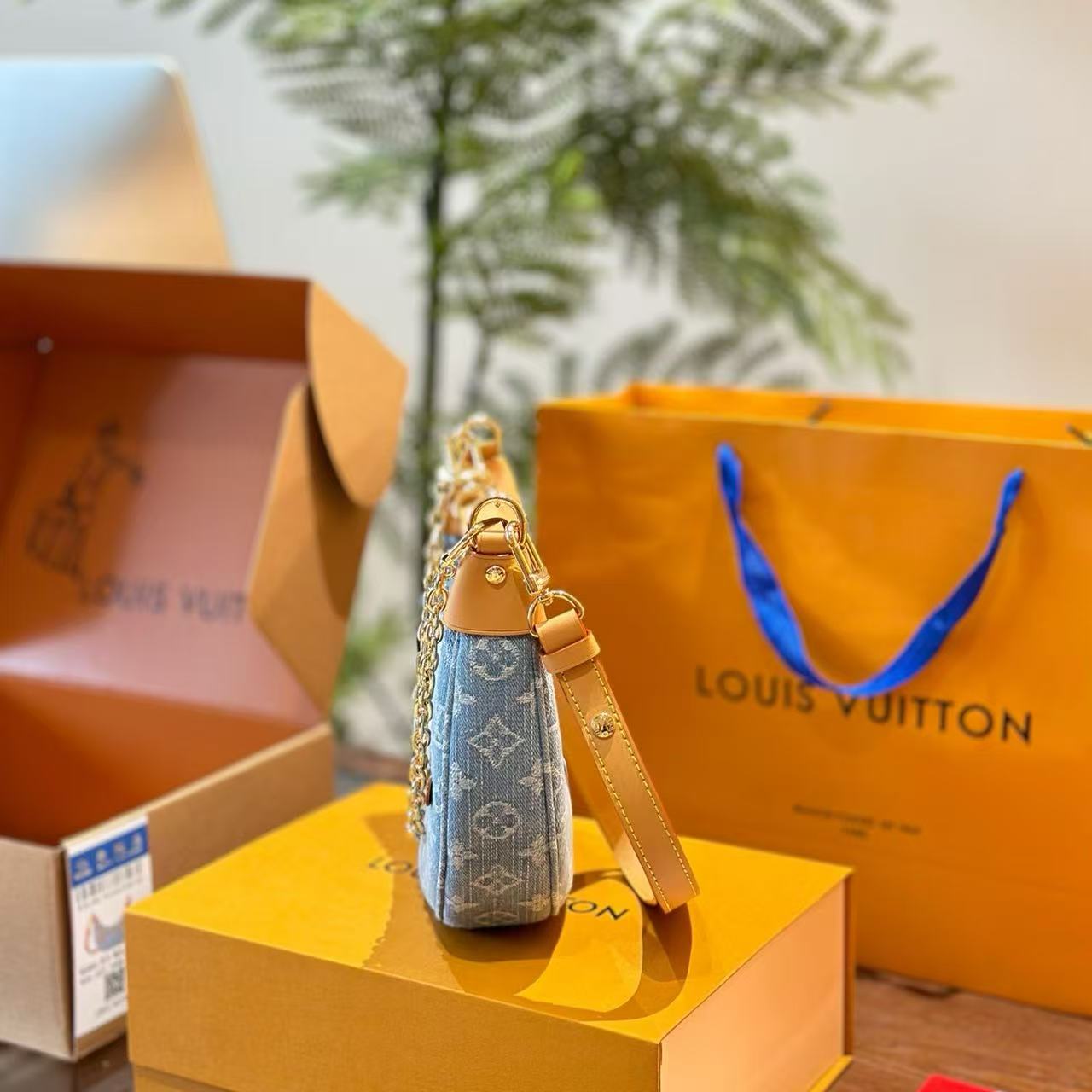 Louis Vuitton Denim Moon Bag