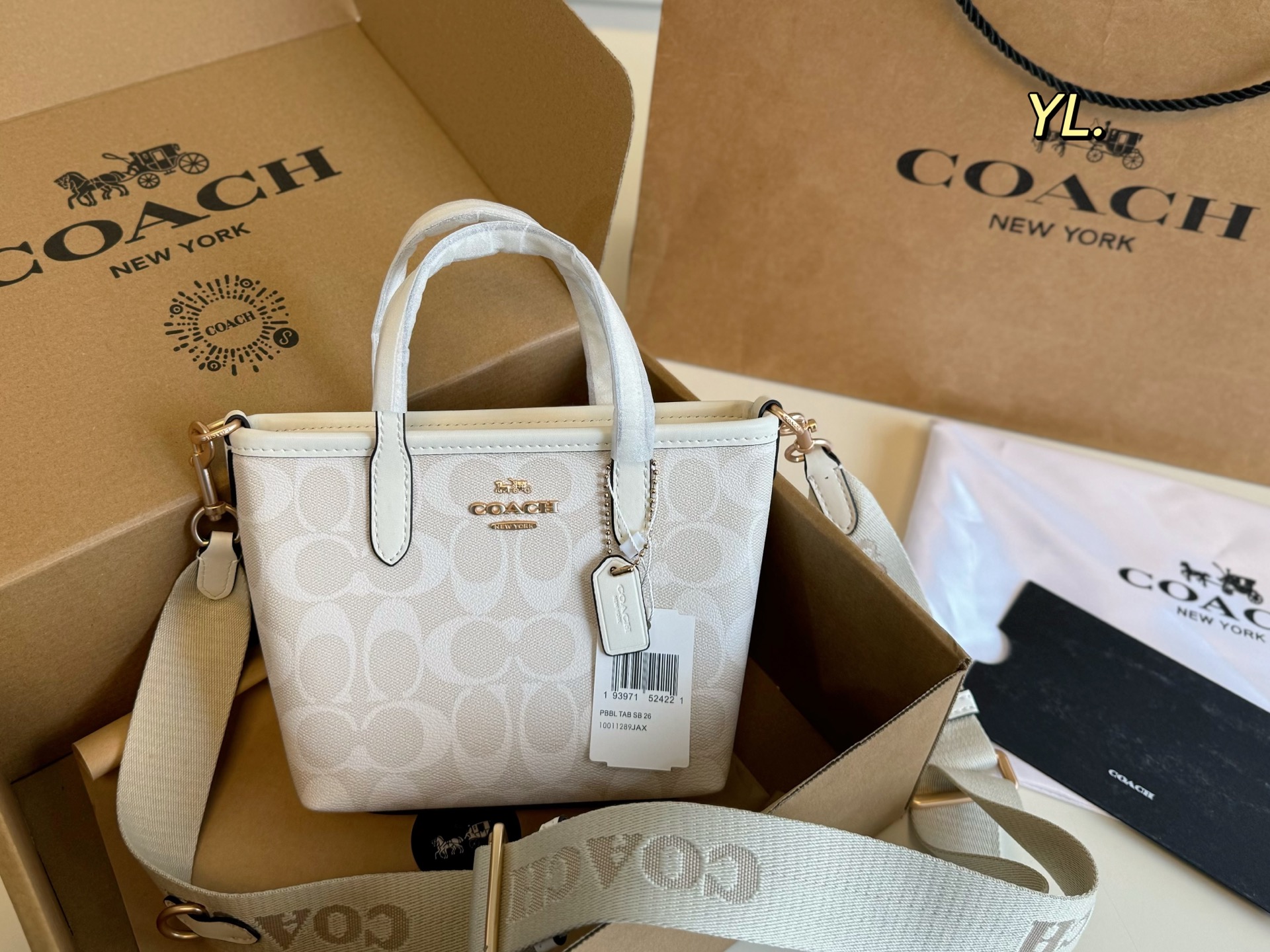Coach's new City mini tote bag