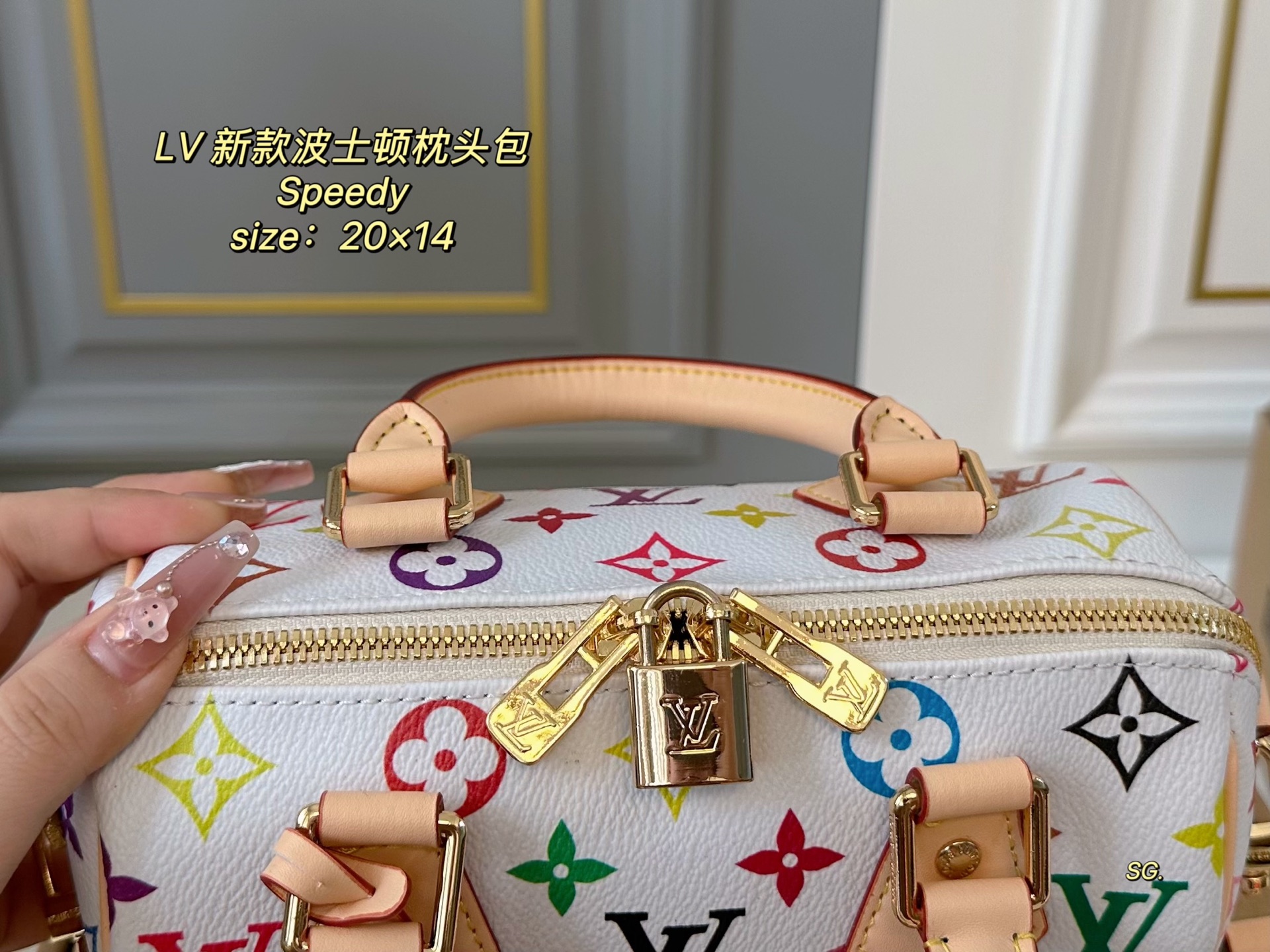 LV speedy Boston pillow bag