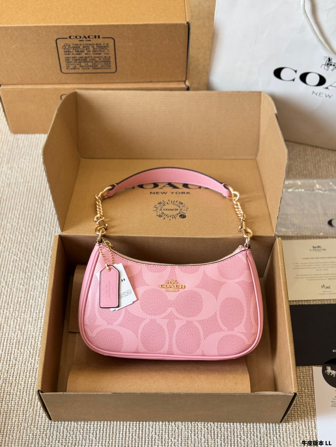 Coach Teri series armpit bag